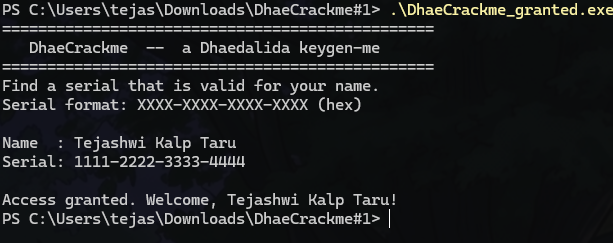 The always-granted build accepting an arbitrary name and serial and printing Access granted