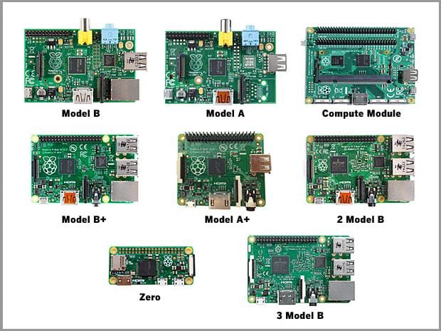 raspberry family